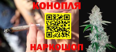 трава Сланцы